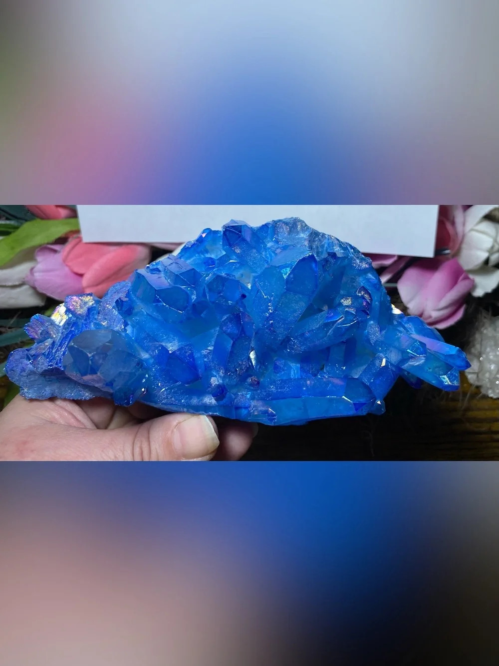 Large Aura Blue Quartz Points Cluster